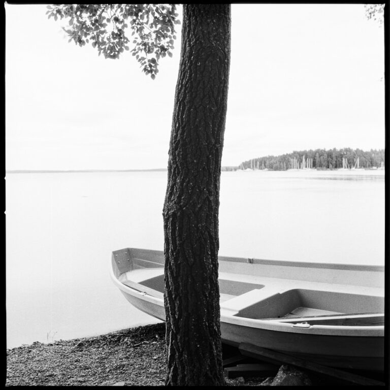 wp-hassel-0726-10
