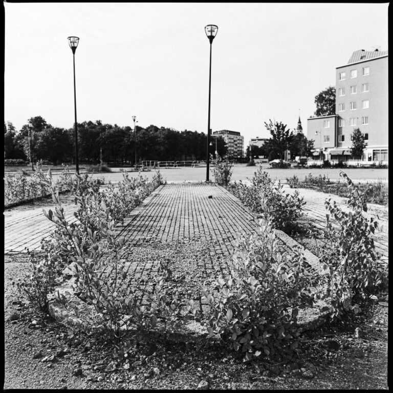 wp-hassel-0726-3