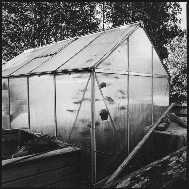 wp-hassel-0726-5